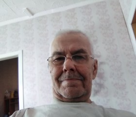 Григорий Козлов, 61 год, Омск