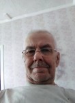 Григорий Козлов, 61 год, Омск