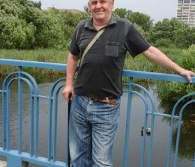 Grigoriy, 74, Mytishchi