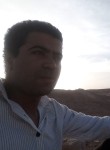 malek, 36 лет, Adrar