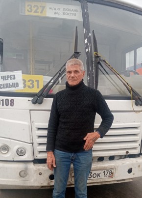 Виктор, 70, Россия, Любань