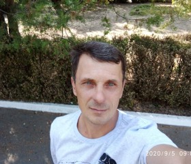 Алексей, 43 года, Berlin