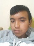  Diego, 21 год, San Martin Texmelucan de Labastida