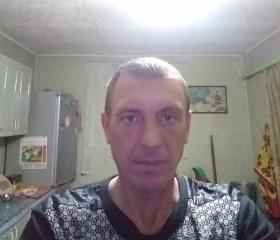 Иван, 45 лет, Лесозаводск