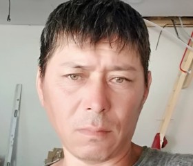 Хамра Хаджиев, 46 лет, Ахтубинск