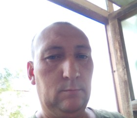 Pavel, 44 года, Тула