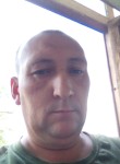 Pavel, 44 года, Тула