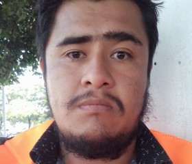 Esteban castillo, 29 лет, Santiago de Querétaro
