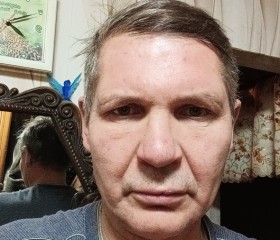 Алексей, 51 год, Судиславль