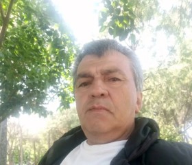 Tolga 45, 49, Kirkagac