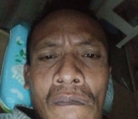 Lani widodo, 48 лет, Kota Surabaya