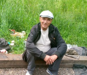 Евгений Салимг, 66 лет, Ангарск