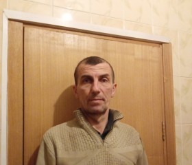 Иван Бушенев, 47 лет, Сыктывкар