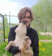Виктор