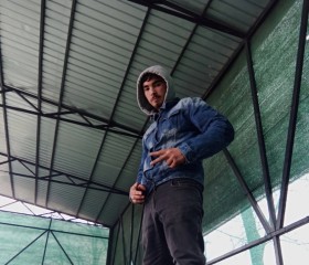Mihai, 18, Bucharest