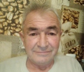 Камиль Сайфуллин, 65 лет, Казань