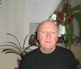Valeriy, 70, Saint Petersburg