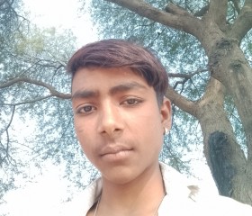 Surajyadav, 29 лет, Lucknow