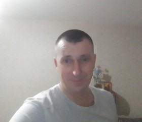Николай Мокаров, 40 лет, Омск