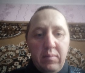 Виктор, 44 года, Берасьце