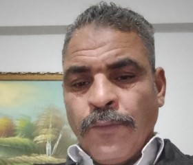 يا سر سيد, 47, Alasehir