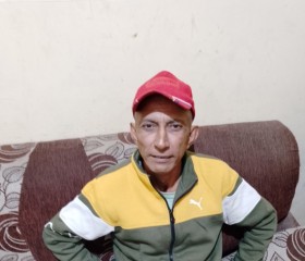 Shali, 46 лет, Ludhiana