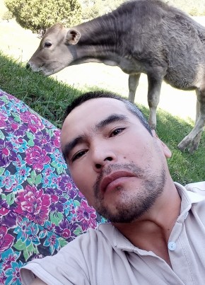Алик, 43, Кыргыз Республикасы, Ош