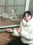 Наталья, 35 лет, Котлас