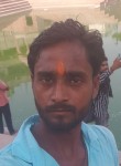 Gaj, 41 год, Kanpur