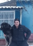 Вячеслав Ильин - Андреаполь