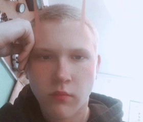 Oleg, 22 года, Павловск (Воронежская обл.)