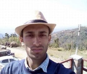 Manish Sharma, 31 год, Shimla