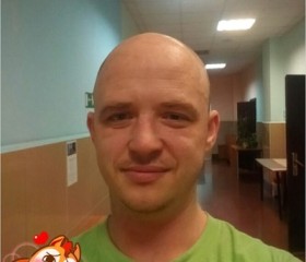 Юрий, 37 лет, Торопец