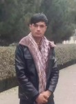 احمد شیرزاد, 19 лет, تالقان