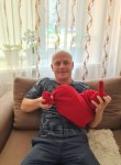 Денис, 41 год, Петропавл