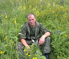 Сергей, 39 лет, Гулькевичи