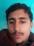 habib, 23 года, کابل