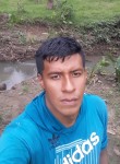 Fernando, 31 год, Santo Domingo de los Colorados