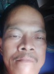 Darmawan, 43 года, Kota Medan
