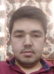 Дамир, 32 года, Toshkent