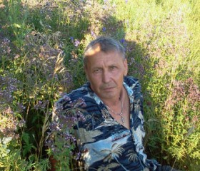 Геннадий, 68 лет, Ульяновск