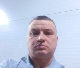Сергей, 43 года, Сходня