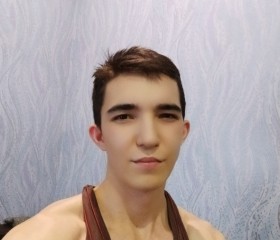 Станислав, 22 года, Ульяновск