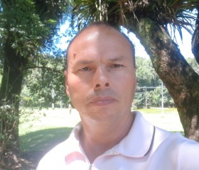 Reinaldo, 52 года, Curitiba