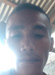 Danny Pascua, 35 лет, Lungsod ng San Fernando (Ilocos)