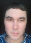 Davron, 37 лет, Toshkent