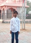 Vijay, 19 лет, Sānand