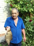 Геннадий, 71 год, Красний Луч