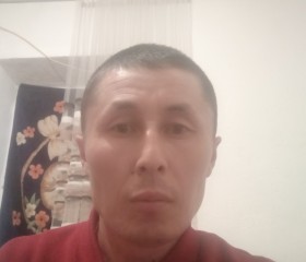 Айба Саша, 38 лет, Бишкек