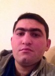 Sahlar, 31 год, Naxçıvan